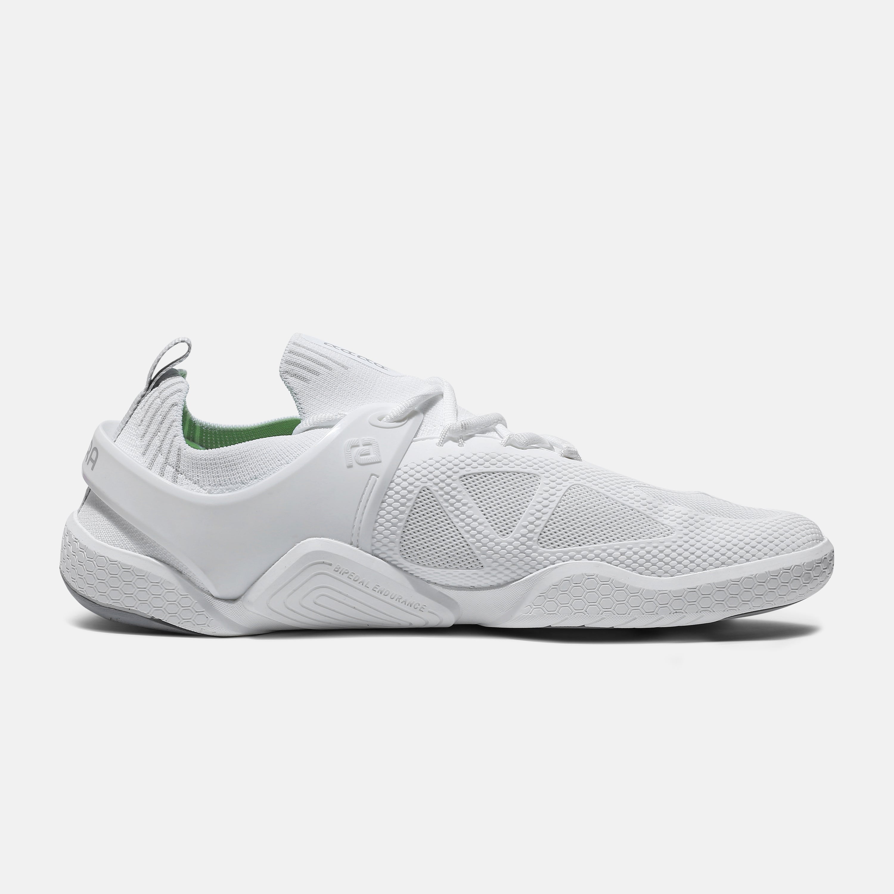 XANADU WHITE