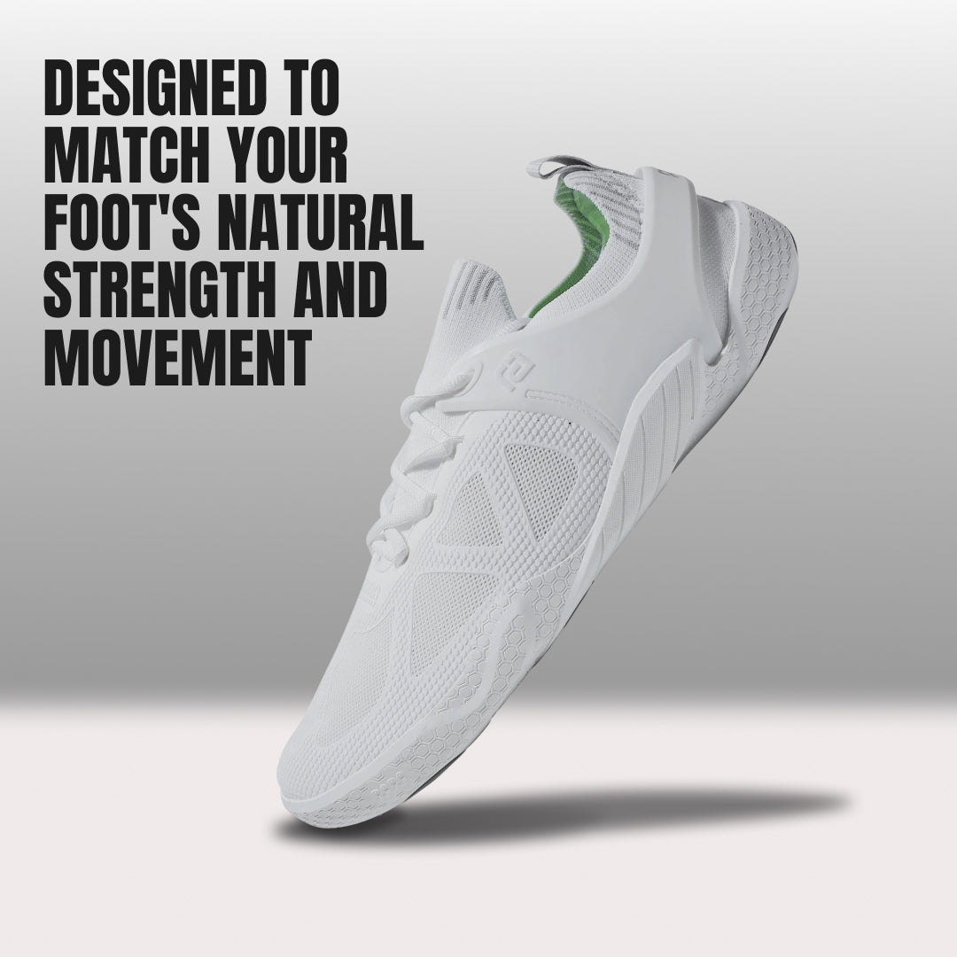 XANADU WHITE